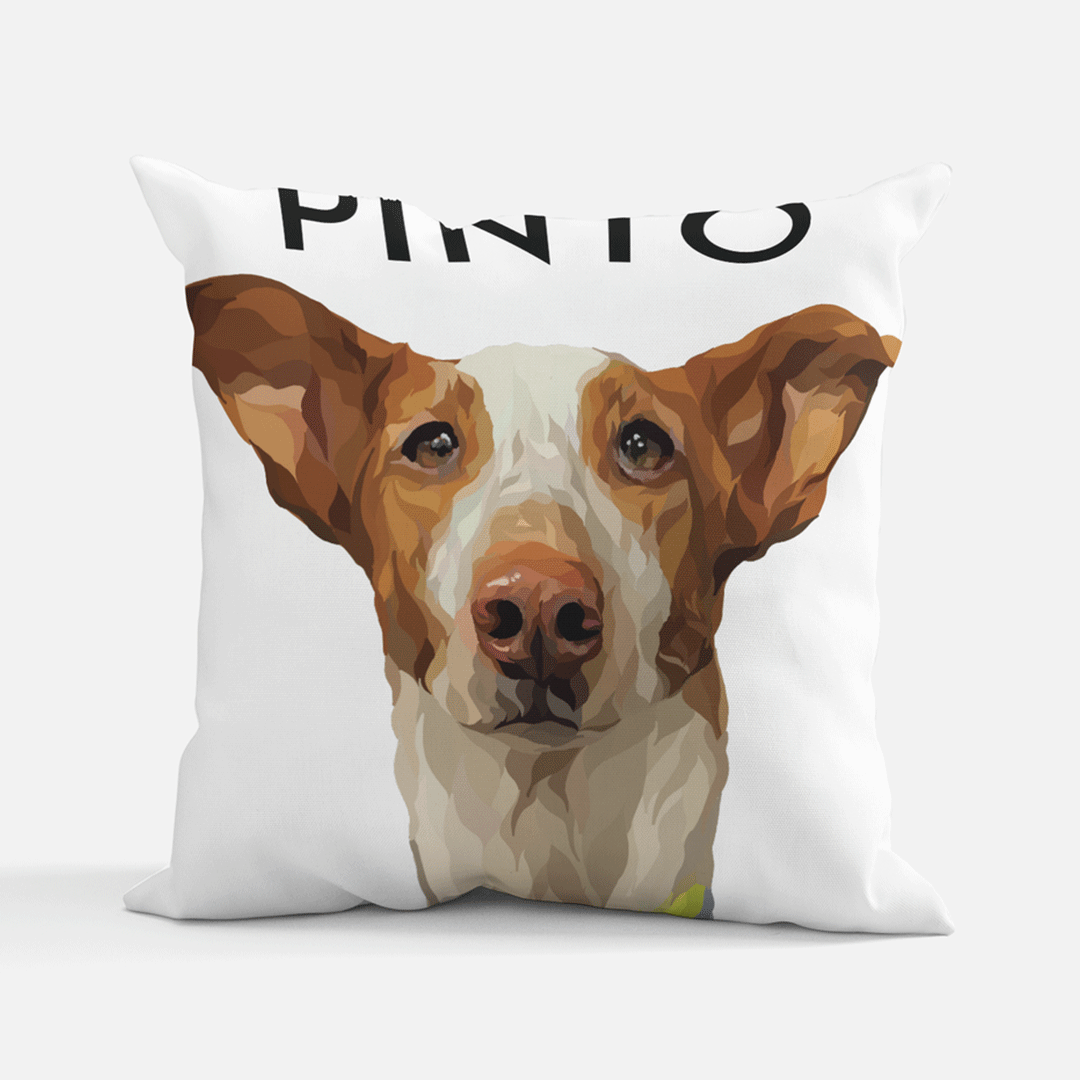 Custom Pillows