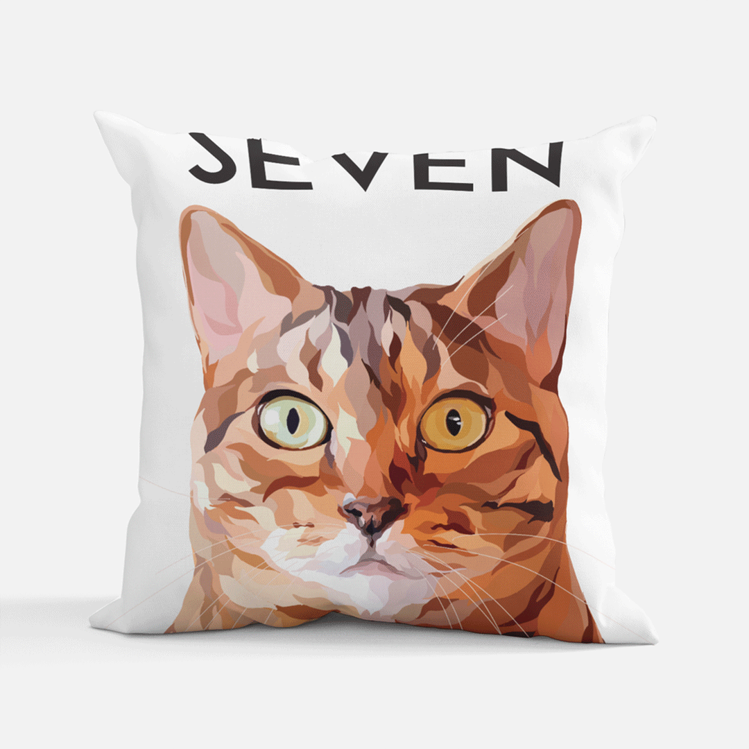 Custom Pillows