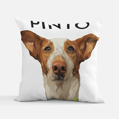 Custom Pillows