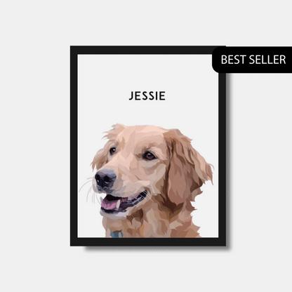 1 Pet Portraits