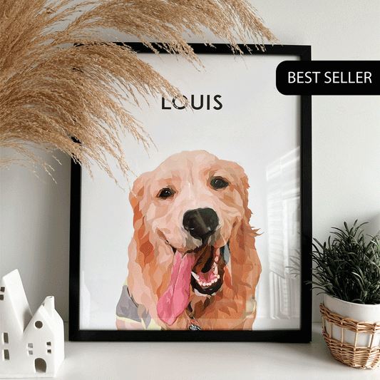 1 Pet Portraits